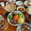 송원애견 이미지