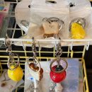 신항로 | 제주 서귀포 안덕 소품샵 르데 내돈내산 후기/주차/애견 동반