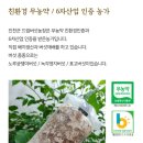 가정농장 | 집에서 즐기는 버섯키우기 체험! 드림버섯농장 표고버섯재배 후기