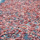 해수농장 이미지