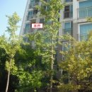 서판교로 이미지