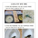 개구리도시락 Daum카페