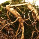 산양키우는 가 이미지