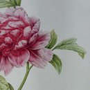 [주말]보테니컬 아트 이미지