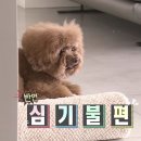 안녕하세요 이미지