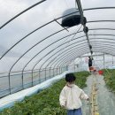 중열농장 이미지