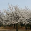 상록햇빛발전소 이미지