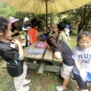 후끈한닭선생 | 우리들 자연학교 9월 1주 차 일요일 주말 숲학교 달콩이샘반 수업 후기