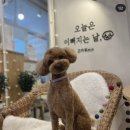 고마워 MIN 이미지