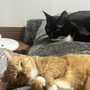 풀려라약국 이미지