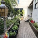 토마토키즈 이미지