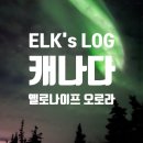 캐나다 옐로나이프 오로라 투어 3일 간의 기록, 신비로운 오로라 댄싱 직관 후기