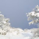 1월 20일 (일요일)[ 07:00 출발] 전남 광주 국립공원 무등산(해발1,187m) 새인봉 눈꽃산행 이미지