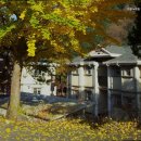 가평노팅힐계곡애견펜션 이미지