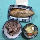 참조은생선
