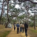 대웅건설 | 2026.3. 친구들과 공주 여행2. (고마나루솔밭, 마곡사)