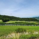 영남목장 이미지