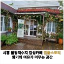 캔들스토리물왕점 | [공지] 시흥 물왕저수지 감성카페 캔들스토리 향기와 여유가 머무는 공간
