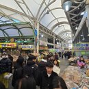 진짜순대집 | 속초 중앙시장 아바이순대 맛집 속초진짜순대 전골 후기