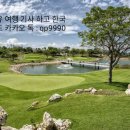 판다골프 이미지