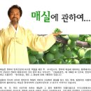 강기갑의 강달프 매실고 GOLD 이미지