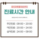 이천파티마병원 | 대구 고양이 친화 병원 방광염 진료 후기 친절한 24시 파티마동물의료센터