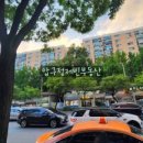 압구정-117 이미지