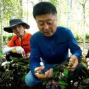 슬기네 농장 이미지