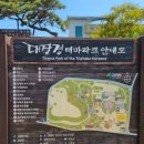 대장경테마파크 이미지