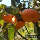 봉옥농장 이미지