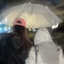 가비분식 이미지