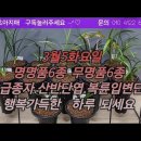 난초아지매
