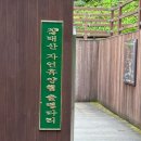 B14-1 | 11월 3일 실시간 장태산자연휴양림 단풍 현황 그리고 야영장 후기(B14)