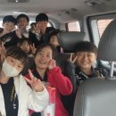 강철체육관(태권도) 이미지