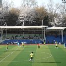 신천체육공원 축구장 이미지
