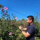 김종권농장 이미지