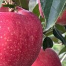 과반농장 이미지