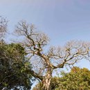 인성리마을회관 이미지