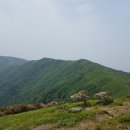 중희 이미지