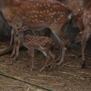 행복농장 6 이미지