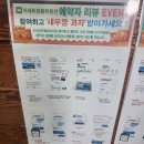 외도 해금강 유람선｜거제도여행 아이와 갈매기 새우깡 주고 외도 한바퀴