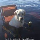 무도식당 이미지