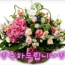 ♤~노병준 친구님의 생일을 춘하 합니다~♤ 이미지