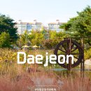 유림-18 | 대전 데이트코스 대전유림공원 국화축제 주차장 솔직 후기