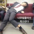 와이지타운 | 준이씨의 잃어버린 1학기 (해명글)