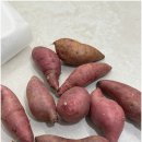 헬시팜 | 여주 꿀 세척고구마 사이즈 좋고 달달해요 헬시팜 쇼핑후기