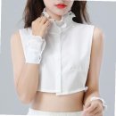 폴라