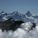 PARADISO(파라디소)