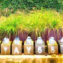 스테이552 이미지