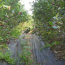 청야농장 이미지